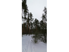 IMG 20210314 113412.jpg