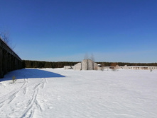 IMG 20210327 092957.jpg