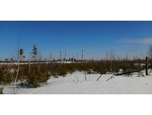 IMG 20210321 101701.jpg