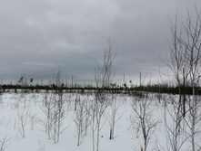 IMG 20210320 122037.jpg