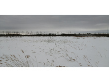 IMG 20210320 123957.jpg