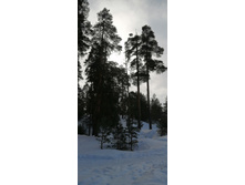 IMG 20210306 113312.jpg