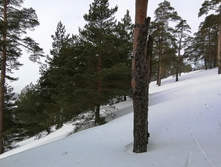 IMG 20210306 111944.jpg