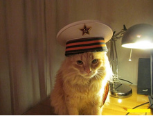 ��� �������, ������?