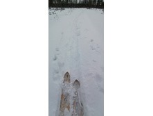 IMG 20210228 120222.jpg