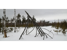 IMG 20210320 115328.jpg