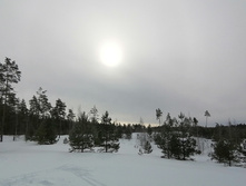 IMG 20210307 095611.jpg