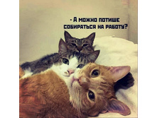 � ����� ������ ���������� �� ������?