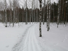 IMG 20210314 115111.jpg