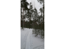 IMG 20210314 112209.jpg