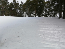 IMG 20210306 111448.jpg