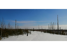 IMG 20210321 101849.jpg