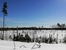 IMG 20210328 093912.jpg