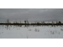 IMG 20210320 121839.jpg