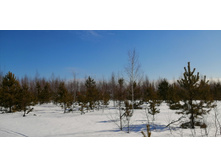 IMG 20210321 103135.jpg