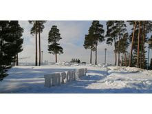 IMG 20210306 105032.jpg