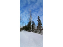 IMG 20210321 092601.jpg