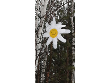 IMG 20210314 120750.jpg