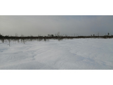 IMG 20210321 093528.jpg