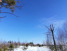 IMG 20210321 103536.jpg