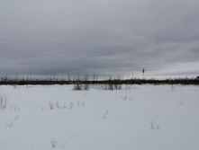 IMG 20210320 124216.jpg