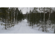 IMG 20210314 115809.jpg