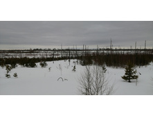 IMG 20210320 120157.jpg