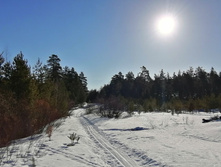 IMG 20210328 081738.jpg