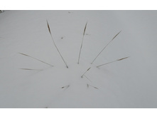 IMG 20210320 131239.jpg