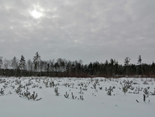 IMG 20210228 121148.jpg