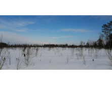 IMG 20210321 092849.jpg