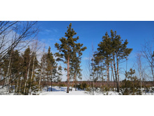 IMG 20210321 103824.jpg