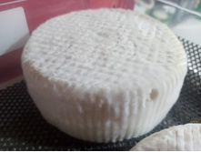 11 ���� ����������