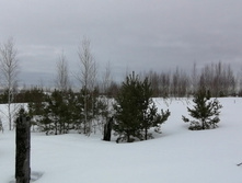 IMG 20210320 115503.jpg