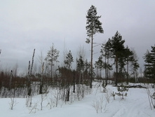 IMG 20210320 114019.jpg