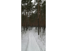 IMG 20210314 114646.jpg