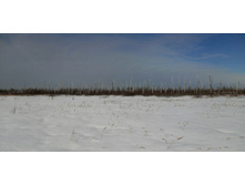 IMG 20210321 094922.jpg