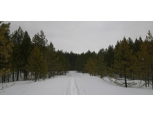 IMG 20210314 121817.jpg