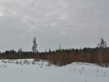 IMG 20210228 115955.jpg