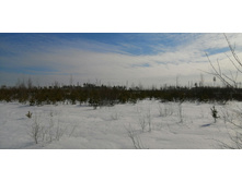 IMG 20210321 100202.jpg