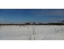 IMG 20210321 094602.jpg