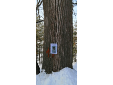 IMG 20210306 104258.jpg