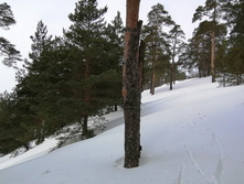 IMG 20210306 111942.jpg