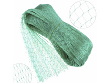 ����� �� ����  2 .jpg