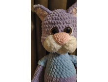 IMG 20210124 191108.jpg