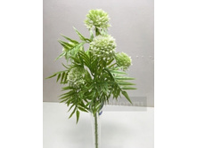 99.00 ���./��. 2210 ����� �����������, �������, 5 � 99 ���