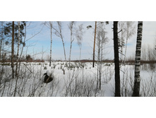 IMG 20210321 092057.jpg