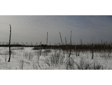 IMG 20210321 095125.jpg