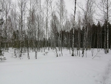 IMG 20210314 115146.jpg