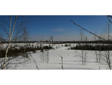 IMG 20210321 102600.jpg